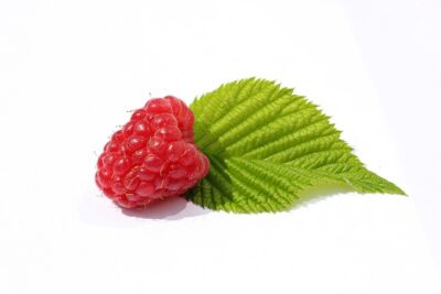 raspberry leaves