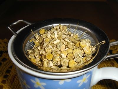 camomile