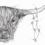 Teatowel Highland Cow