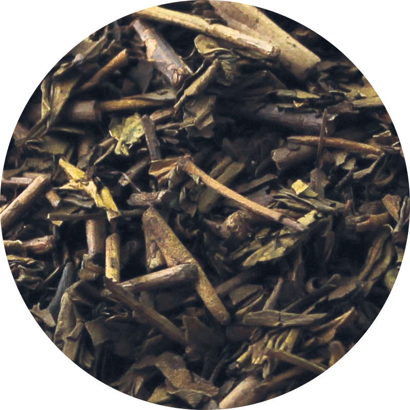 hojicha japanese green tea